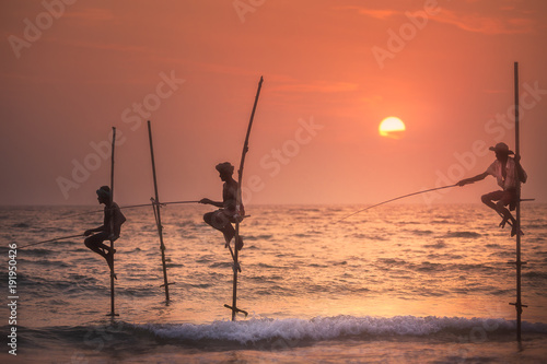 Fototapeta Traditional fishermen at the sunset, Sri Lanka.