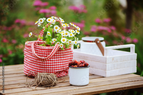 june or july garden scene with fresh picked organic wild strawberry and chamomile flowers on wooden table outdoor. Summertime still life, healthy country living on farm concept photo