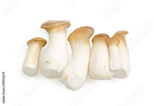 Fresh cultivated Eringi mushrooms different sizes