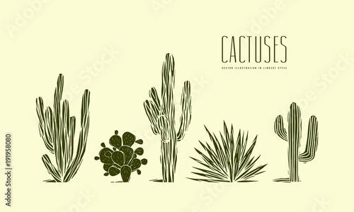 Foto Stock vector set of hand drawn cactus