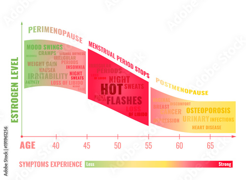 Stages of Menopause Infographic