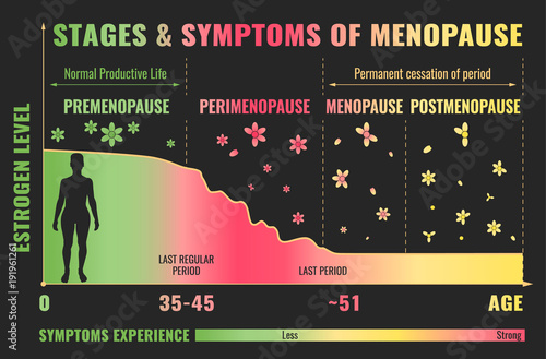 Stages of Menopause Infographic