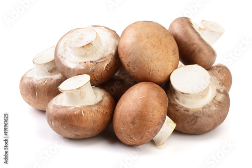Royal Brown champignon isolated on white background