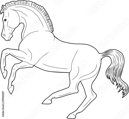 A sketch of a cartoon horse.