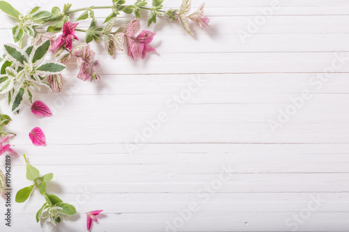 Sage decorative on white wooden background