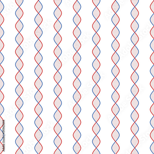 DNA double helix simple stylized seamless pattern in blue red and white, vector