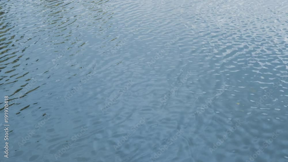 Water surface with ripples and waves. Abstract motion background.
Water surface with ripples and waves. Abstract motion background.