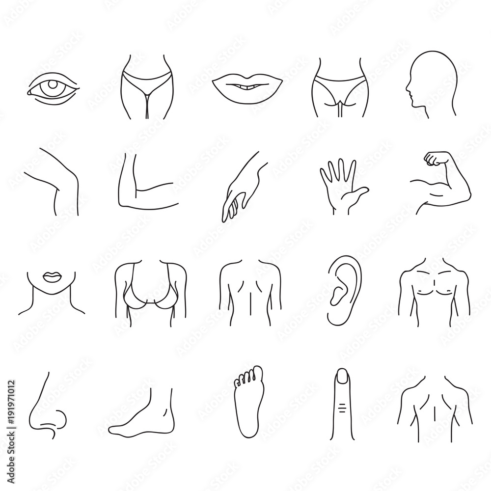 Easy Body parts drawing - YouTube-saigonsouth.com.vn