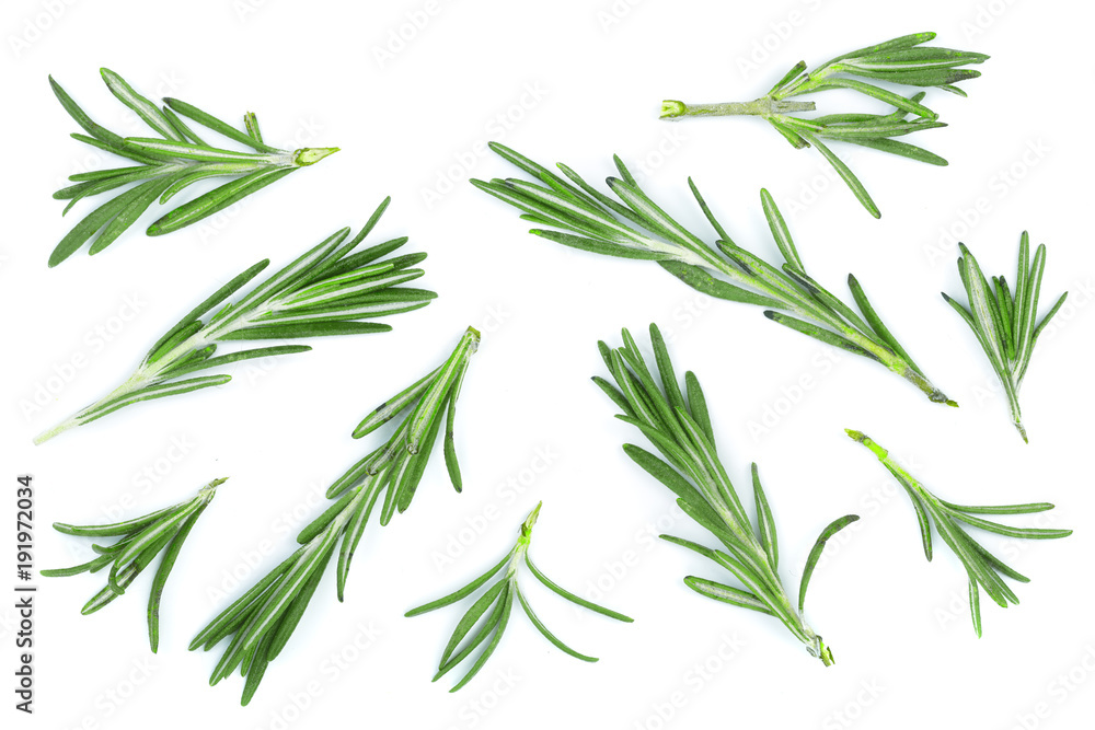 Fototapeta premium Fresh green rosemary isolated on a white background. Top view. Flat lay