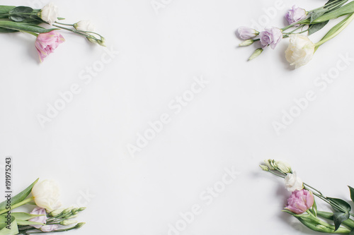 Fototapeta Naklejka Na Ścianę i Meble -  Flowers of Eustoma on a white background.