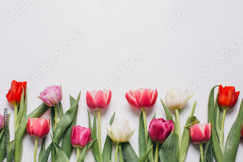 Fototapeta Naklejka Na Ścianę i Meble -  Fresh tulips on a white table, top view.