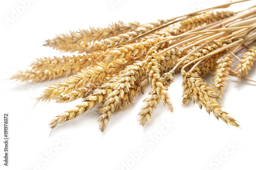 sheaf of ears of wheat isolated on white background