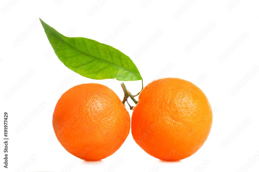 Two mandarines with a leaf Two mandarines with a leaf