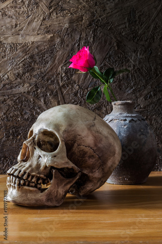 Still life with human skull with red rose in the old vase