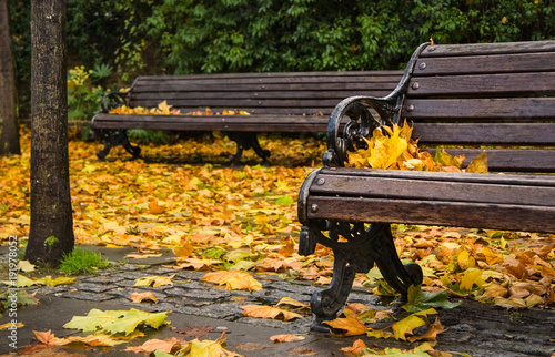 Bench covered with leaves in autumn