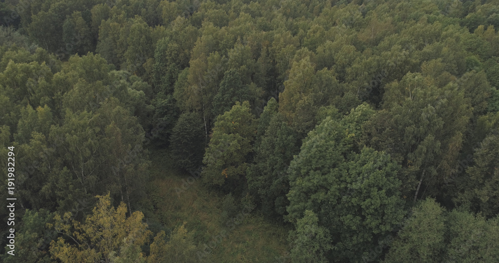 Aerial shot fly over wild park or forest in cloudy day