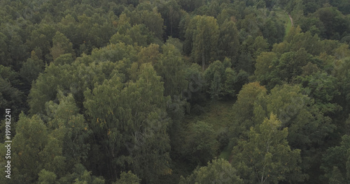 Aerial shot fly over wild park or forest in cloudy day