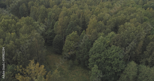 Aerial shot fly over wild park or forest in cloudy day © GCapture