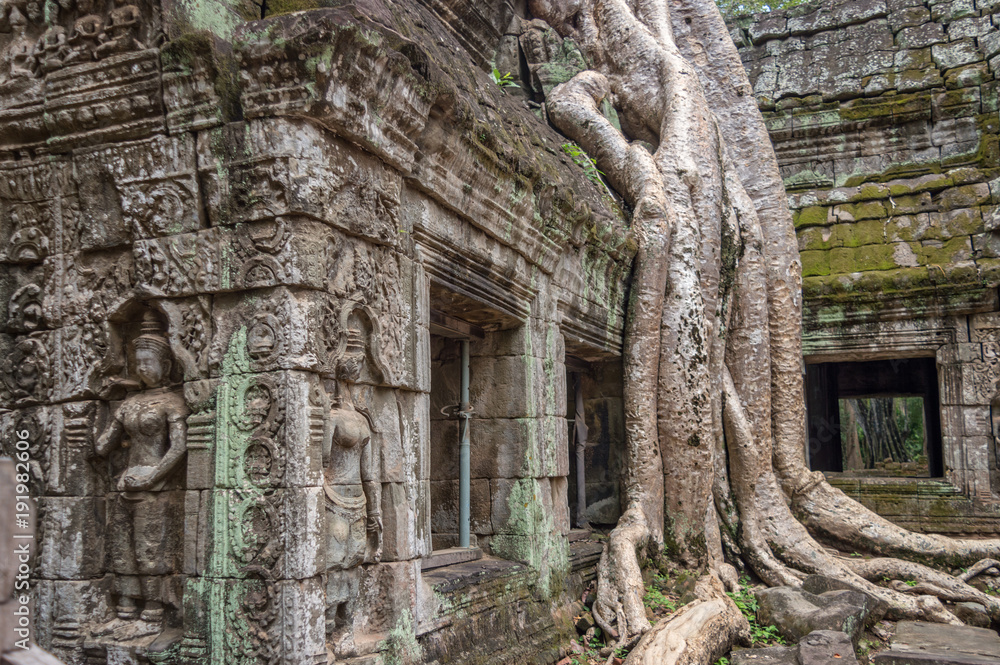 Roots of a banyan tree at Bayon temple in Angkor, Siem Rep, Cambodia Roots of a banyan tree at Bayon temple in Angkor, Siem Rep, Cambodia