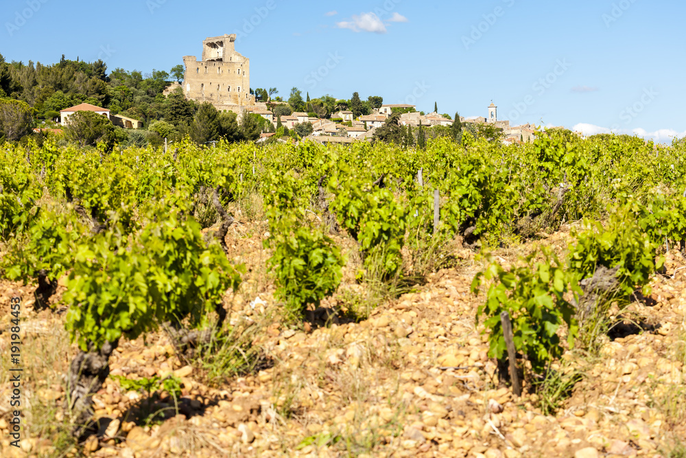 vineyards near Chateauneuf-du-Pape, France vineyards near Chateauneuf-du-Pape, France