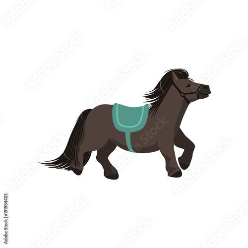 Cute dark grey pony, thoroughbred horse vector Illustration