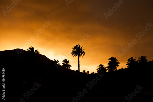 Har  a  Lanzarote   Spain  January 26  2018  Sunset view  skyline with silhouettes of palm trees