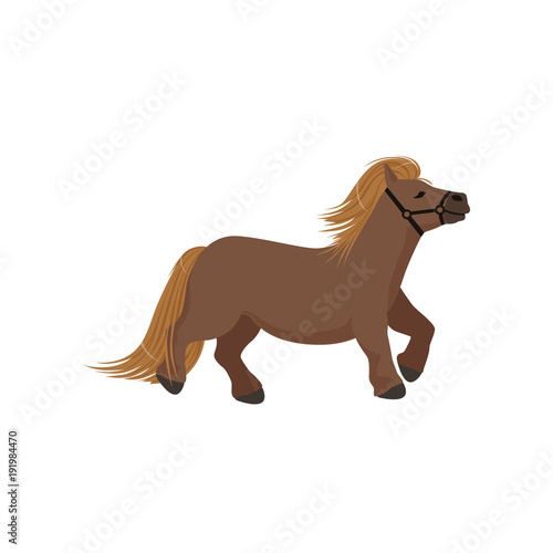 Cute brown pony, thoroughbred horse vector Illustration