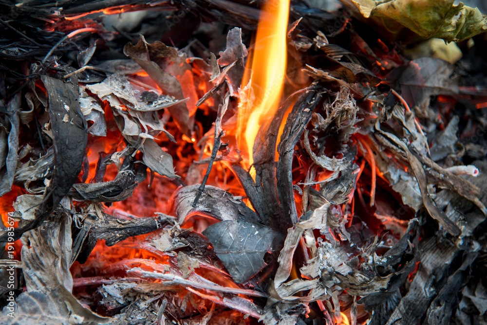 Embers And Glowing embers. Glowing coal in the Ash