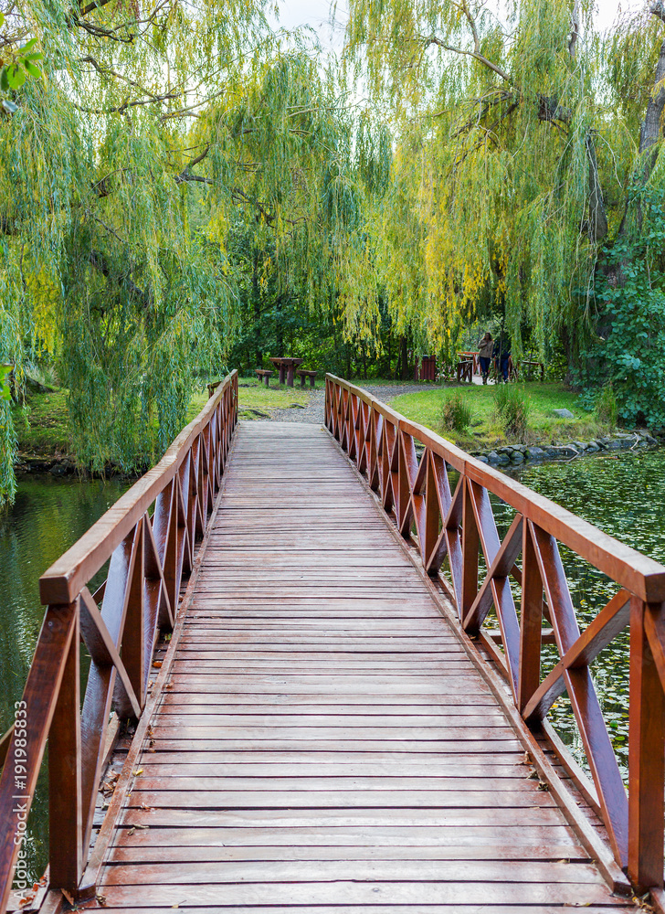Small wooden bridge, picnic table and benches in the park. Outdoor rest place Small wooden bridge, picnic table and benches in the park. Outdoor rest place