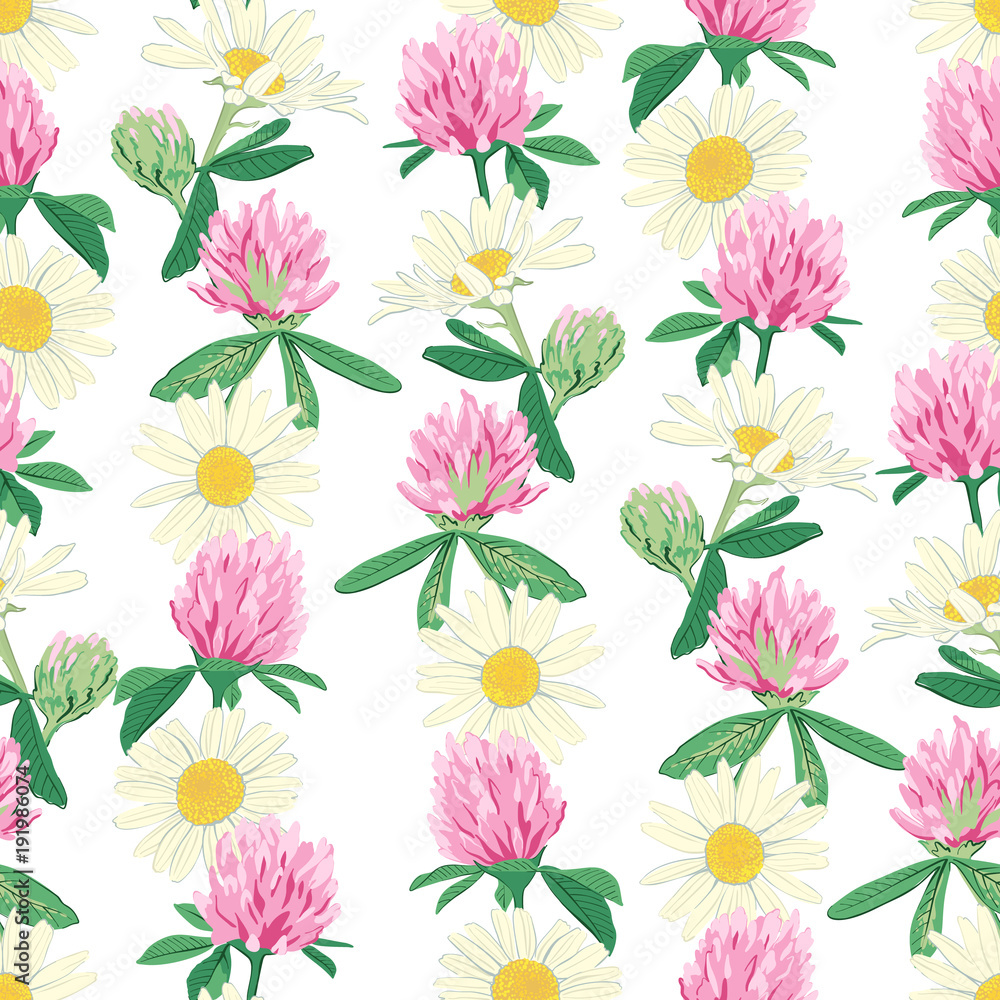 Floral seamless pattern with red clover and camomile.