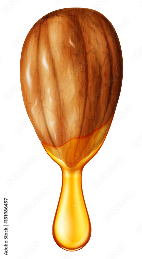 Almond nut with oil drop. Vector illustration. Almond nut with oil drop. Vector illustration.