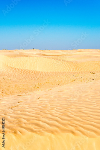 Desert activities in Tunisia © Anibal Trejo