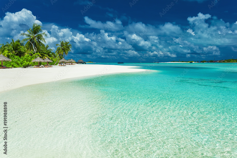 Tropical coastline with palm trees and beautiful sand. Exotic beach scene.