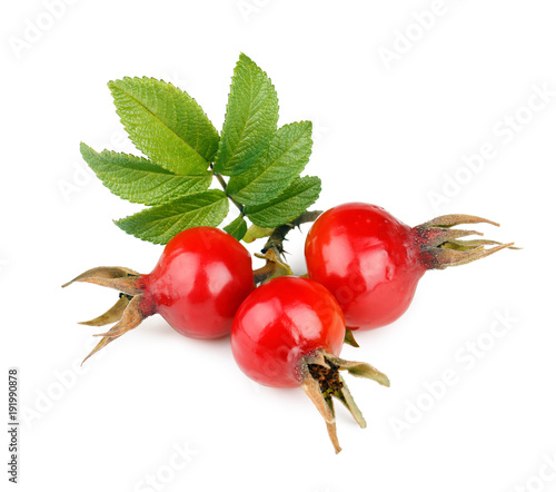 Rose hip berries with leaves isolated on white background. Clipping Path