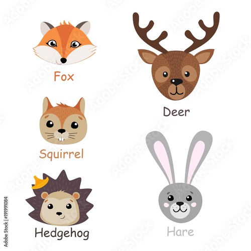 Set of isolated forest animals. Vector illustration.