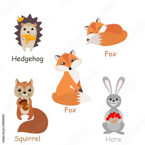 Set of isolated forest animals. Vector illustration. © Rusakovich