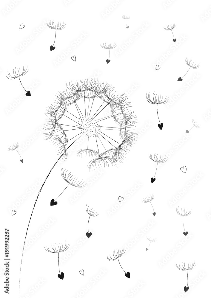 Obraz premium dandelion flower seeds in a heart shape flyingin the air isolated on the white background vertical, vector illustration