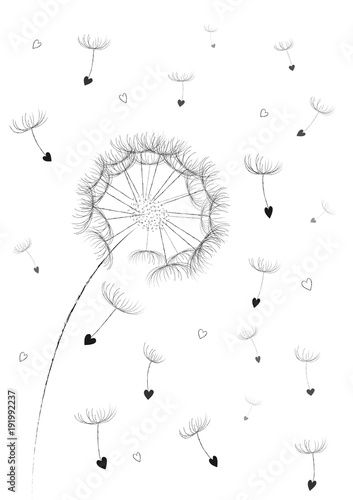 dandelion flower seeds in a heart shape flyingin the air isolated on the white background vertical, vector illustration