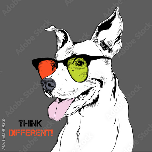 Portrait of the bulldog in the colored glasses. Vector illustration.