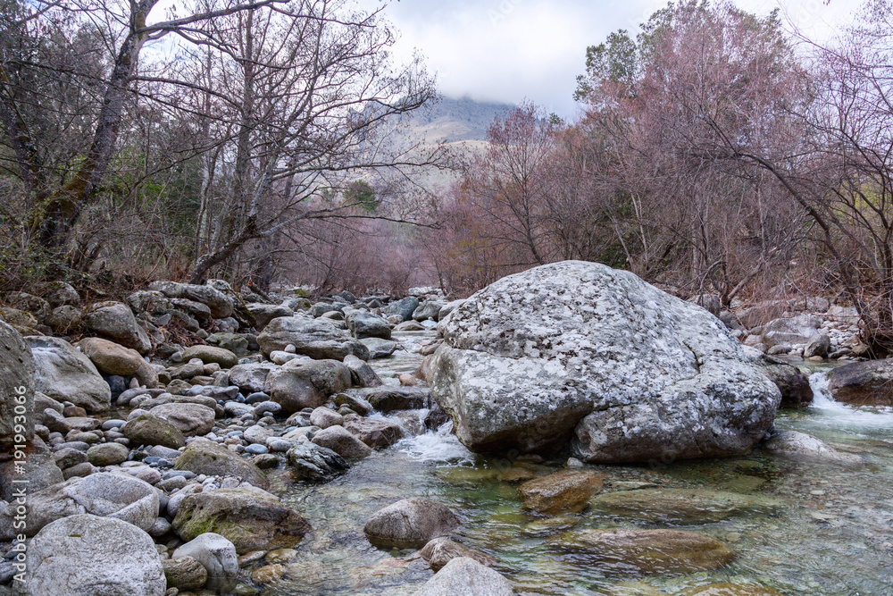 A beautiful landscape, a mountain river in the spring forest, the awakening of nature. A beautiful landscape, a mountain river in the spring forest, the awakening of nature.