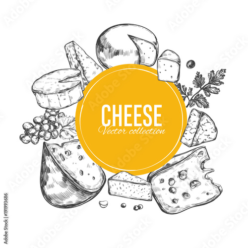 Cheese collection. Vector hand drawn illustration of cheese types .