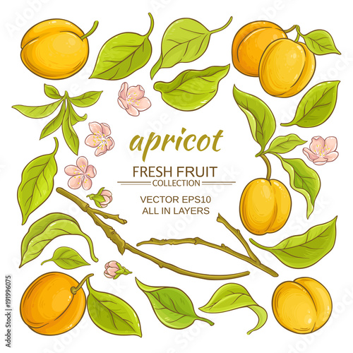 apricot elements set