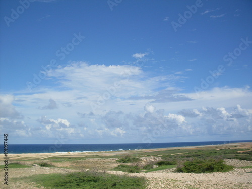 Fototapeta Naklejka Na Ścianę i Meble -  Beach, sky, palm tree, ocean, sea, clouds, heaven, aruba, sun, vacation, water, blue, lighthouse , sand, hot, summer, 