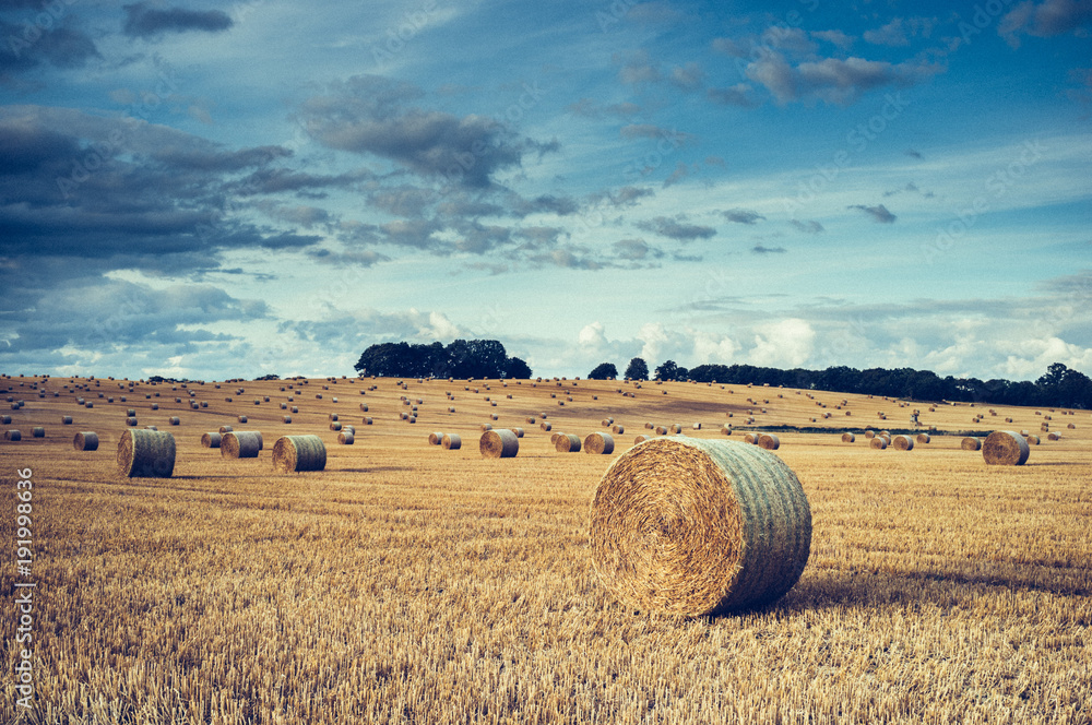 Straw bales on field with sky and clouds