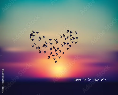 Love heart bird sign card in sky sunset valentines day.