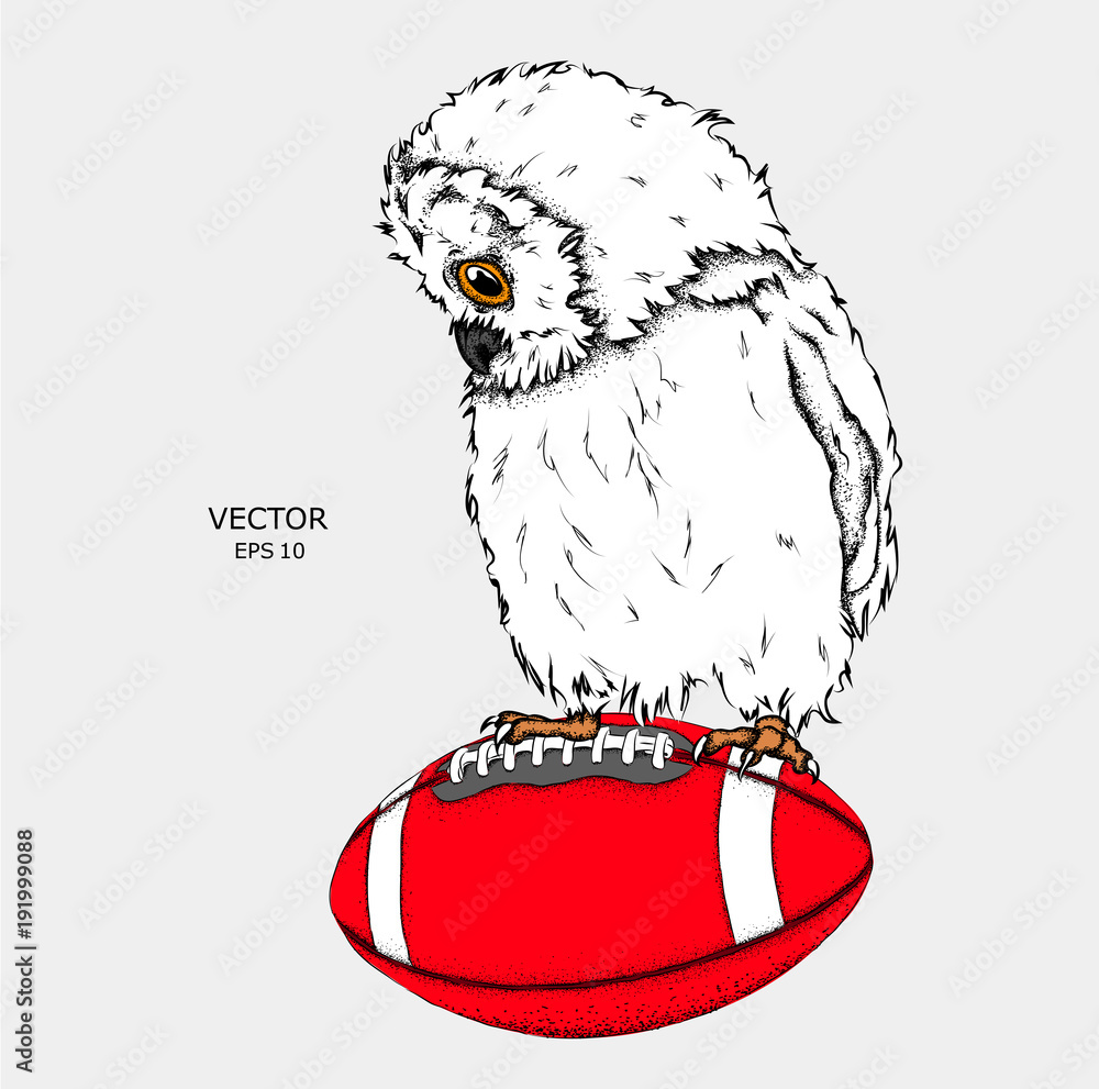 Naklejka premium Portrait of an owl on a ball. Can be used for printing on T-shirts, flyers and stuff. Vector illustration