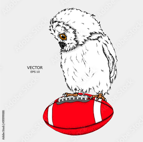 Portrait of an owl on a ball. Can be used for printing on T-shirts, flyers and stuff. Vector illustration