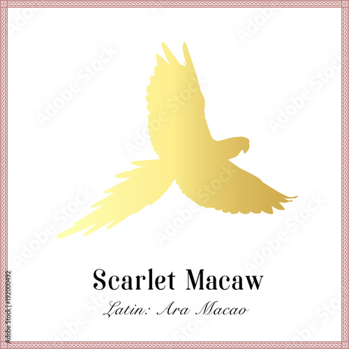 Scarlet Macaw Gold Gradient Silhouette Illustration. Tropical Bird. Ara macao. Parrot. 