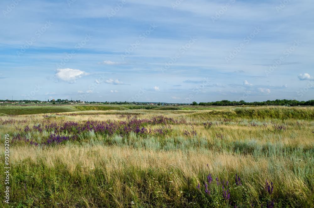 Russian steppe