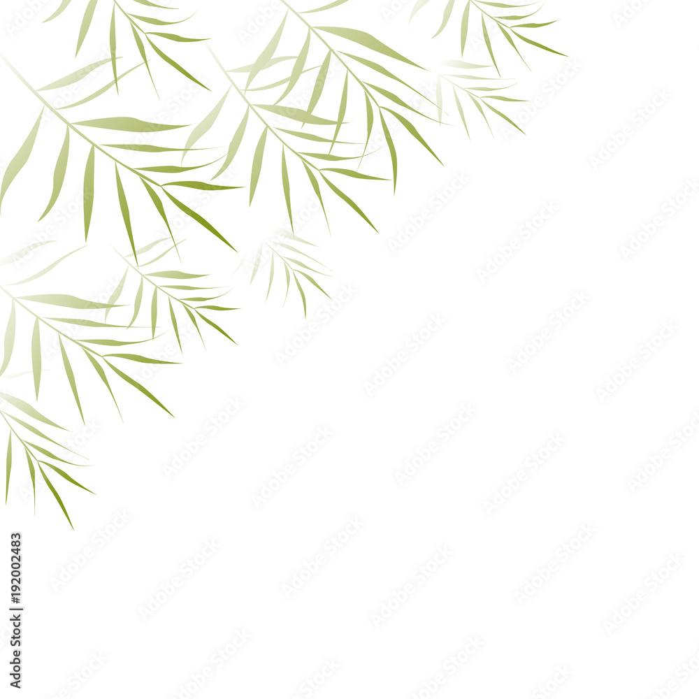 Fototapeta premium Tropical background. Palm leaves. Exotic. Frame. White. Green. Border.
